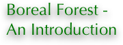 Boreal Forest - An Introduction