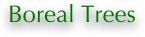 Boreal Trees  