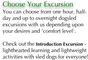 Choose Your Excursion 
You can choose from one hour, half- day and up to overnight dogsled excursions with us depending upon your desires and 'comfort level'.

Check out the Introduction Excursion - lighthearted learning and lightweight activities with sled dogs for everyone!
