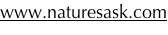 shapeimage_3_link_1
