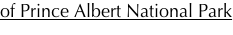 shapeimage_3_link_1