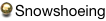 shapeimage_4_link_0