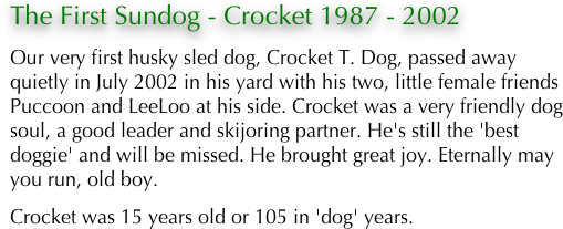 The First Sundog - Crocket 1987 - 2002
Our very first husky sled dog, Crocket T. Dog, passed away quietly in July 2002 in his yard with his two, little female friends Puccoon and LeeLoo at his side. Crocket was a very friendly dog soul, a good leader and skijoring partner. He's still the 'best doggie' and will be missed. He brought great joy. Eternally may you run, old boy.
Crocket was 15 years old or 105 in 'dog' years.