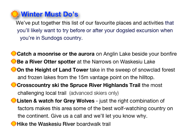 Winter Must Do’s
We’ve put together this list of our favourite places and activities that you’ll likely want to try before or after your dogsled excursion when you’re in Sundogs country. Contact us for details and directions.
Catch a moonrise or the aurora on Anglin Lake beside your bonfire
Be a River Otter spotter at the Narrows on Waskesiu Lake
On the Height of Land Tower take in the sweep of snowclad forest
and frozen lakes from the 15m vantage point on the hilltop.
Crosscountry ski the Spruce River Highlands Trail the most
challenging local trail (advanced skiers only)
Listen & watch for Grey Wolves - just the right combination of
factors makes this area some of the best wolf-watching country on
the continent. Give us a call and we’ll let you know why.
Hike the Waskesiu River boardwalk trail